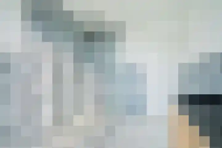 De Jachthoorn 5 Swifterbant thumbnail 17