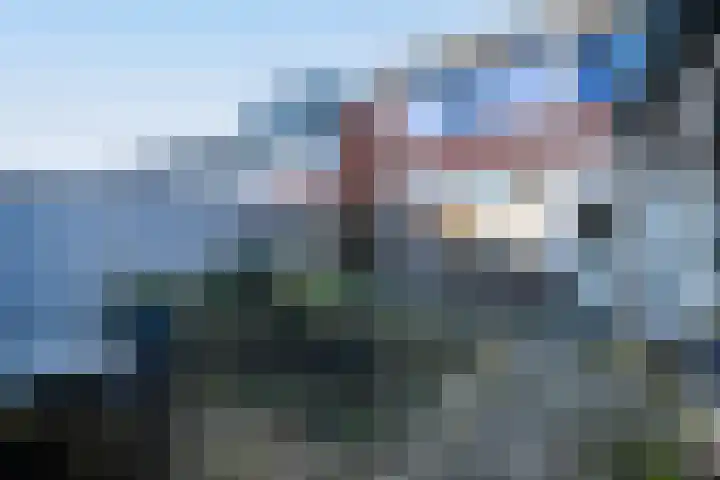 De Jachthoorn 5 Swifterbant thumbnail 26