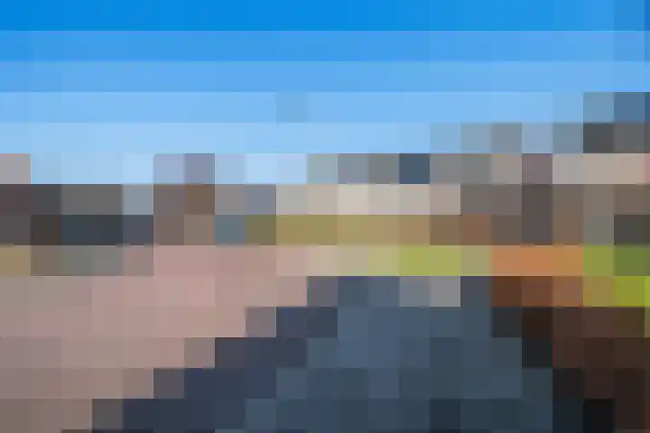 De Jachthoorn 5 Swifterbant thumbnail 30