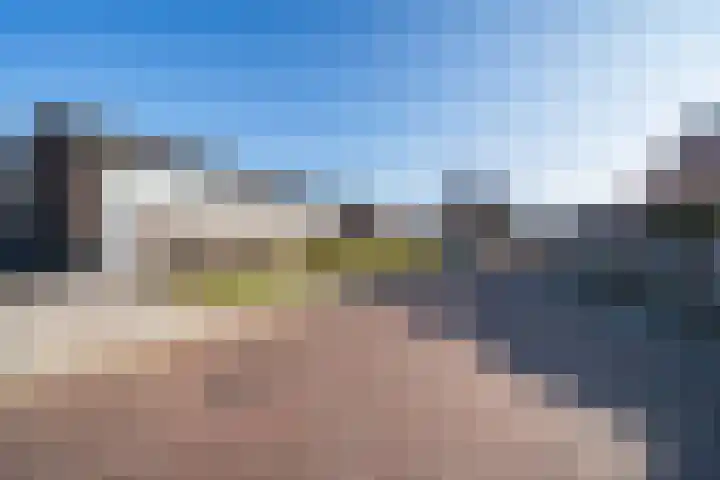De Jachthoorn 5 Swifterbant thumbnail 31
