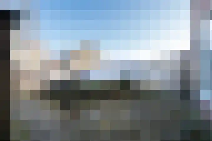 De Jachthoorn 5 Swifterbant thumbnail 5