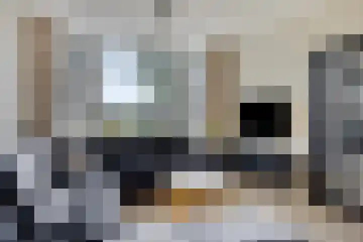 De Jachthoorn 7 Swifterbant thumbnail 10