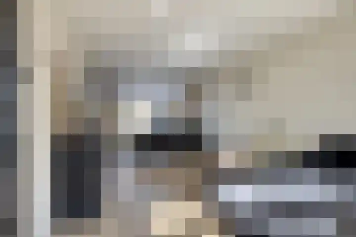 De Jachthoorn 7 Swifterbant thumbnail 11