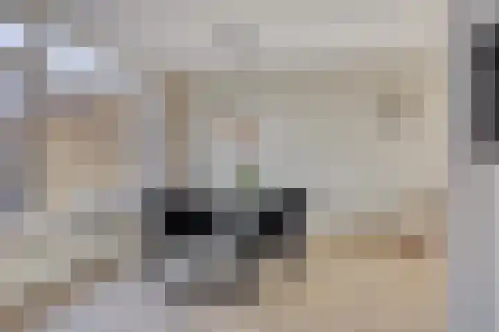 De Jachthoorn 7 Swifterbant thumbnail 12