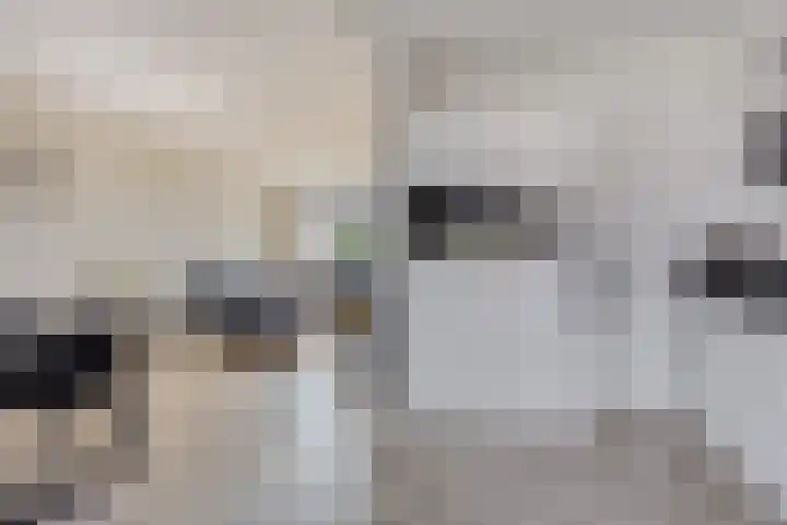 De Jachthoorn 7 Swifterbant thumbnail 13