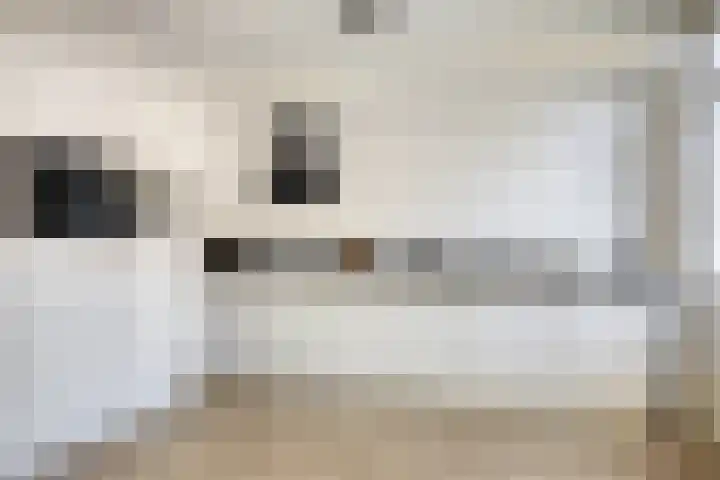 De Jachthoorn 7 Swifterbant thumbnail 14