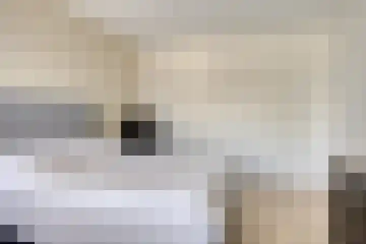 De Jachthoorn 7 Swifterbant thumbnail 18