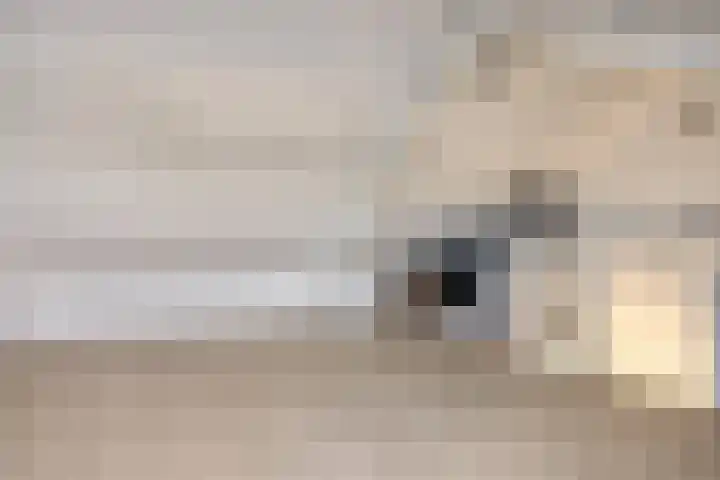 De Jachthoorn 7 Swifterbant thumbnail 24