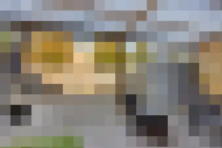 De Jachthoorn 7 Swifterbant thumbnail 25