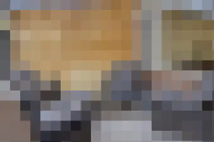 De Jachthoorn 7 Swifterbant thumbnail 26