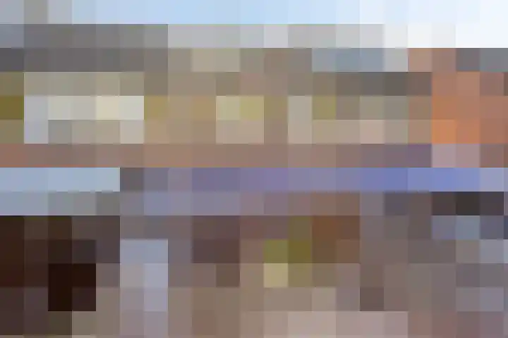De Jachthoorn 7 Swifterbant thumbnail 28