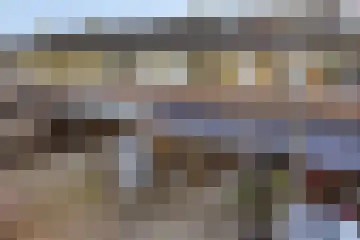 De Jachthoorn 7 Swifterbant thumbnail 29