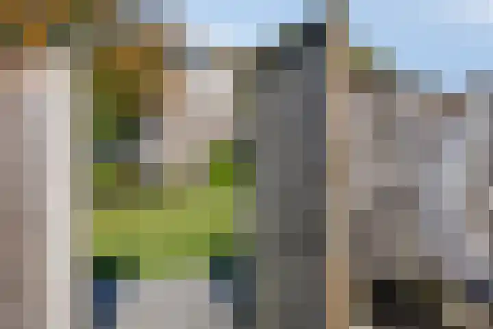 De Jachthoorn 7 Swifterbant thumbnail 30