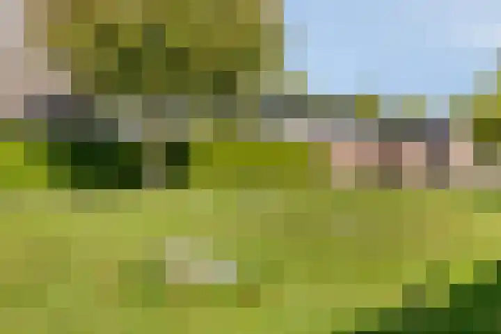 De Jachthoorn 7 Swifterbant thumbnail 31