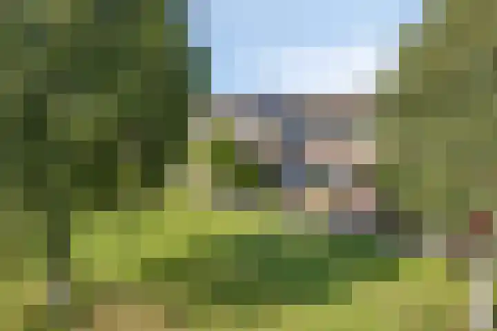 De Jachthoorn 7 Swifterbant thumbnail 33
