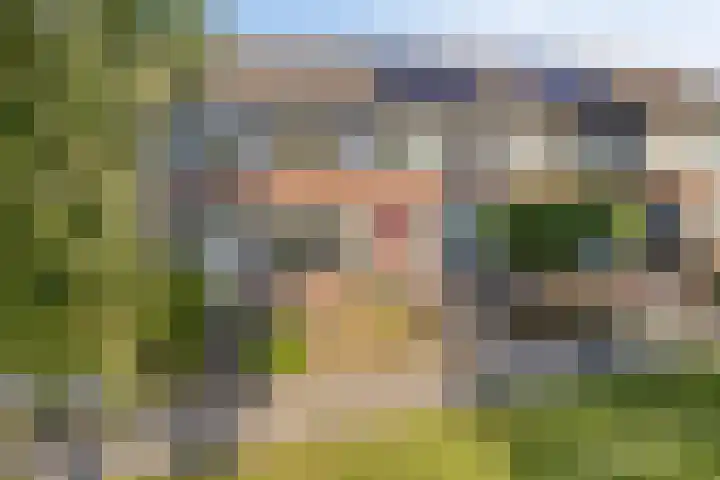 De Jachthoorn 7 Swifterbant thumbnail 34
