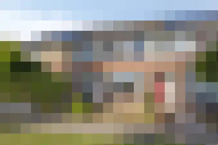 De Jachthoorn 7 Swifterbant thumbnail 35