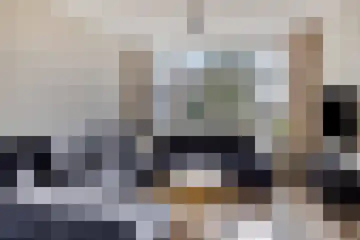 De Jachthoorn 7 Swifterbant thumbnail 8