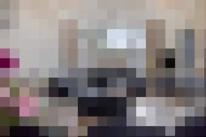 De Jachthoorn 7 Swifterbant thumbnail 9