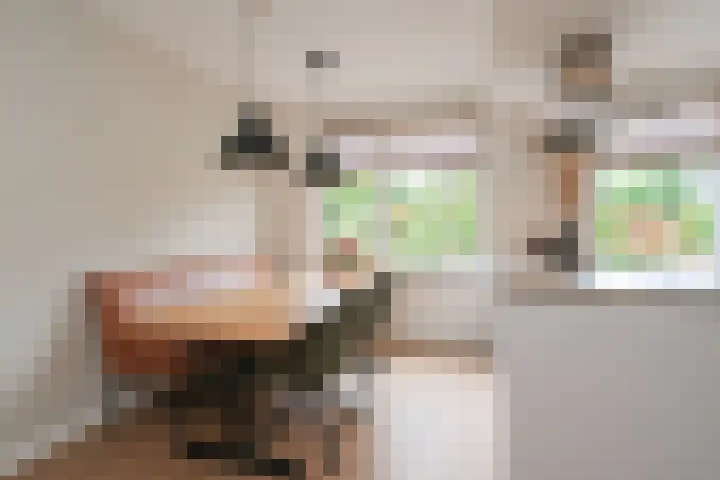 De Jachtvalk 122 Almelo thumbnail 10