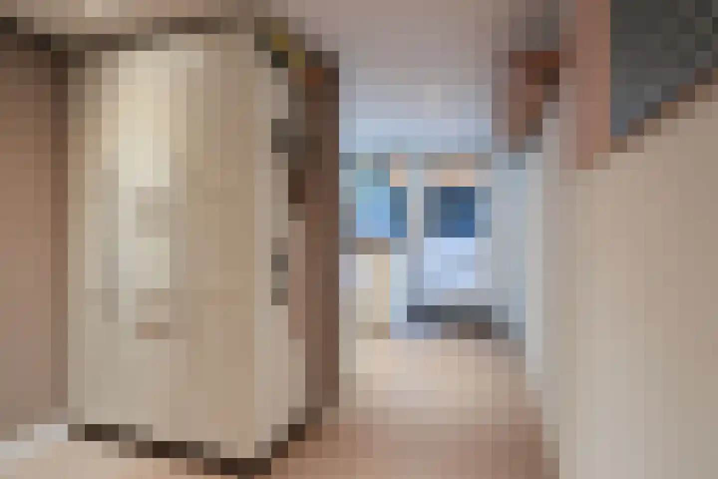 De Jachtvalk 122 Almelo thumbnail 16