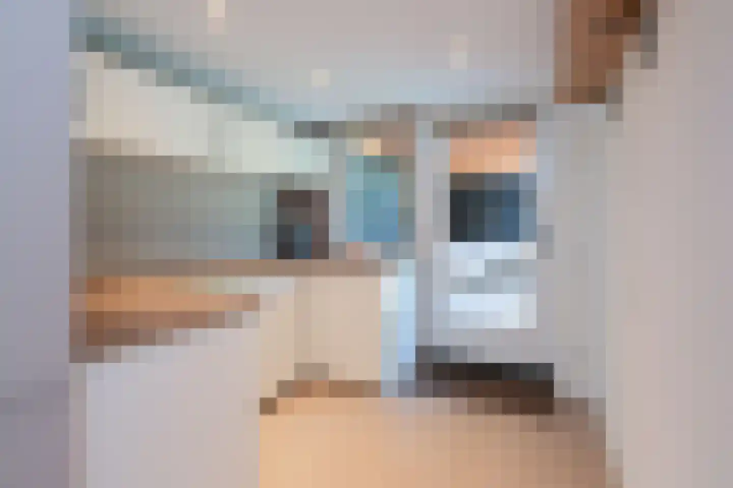 De Jachtvalk 122 Almelo thumbnail 17
