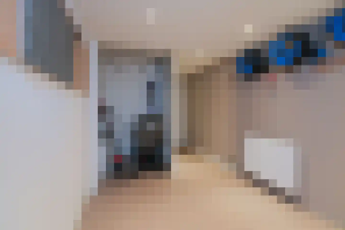 De Jachtvalk 122 Almelo thumbnail 18