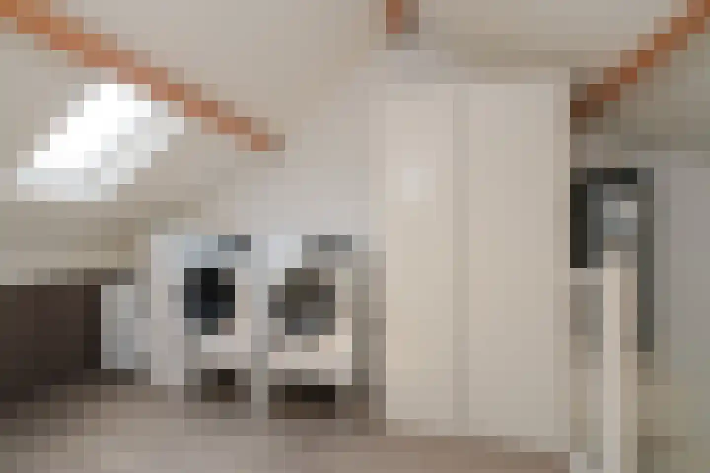 De Jachtvalk 122 Almelo thumbnail 26