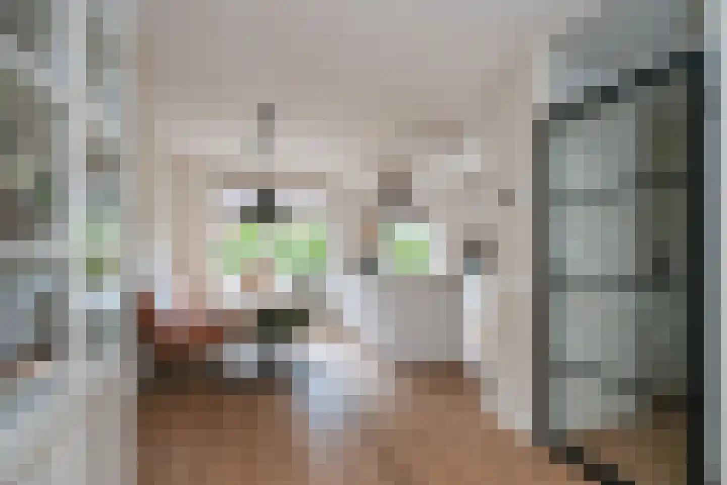 De Jachtvalk 122 Almelo thumbnail 4