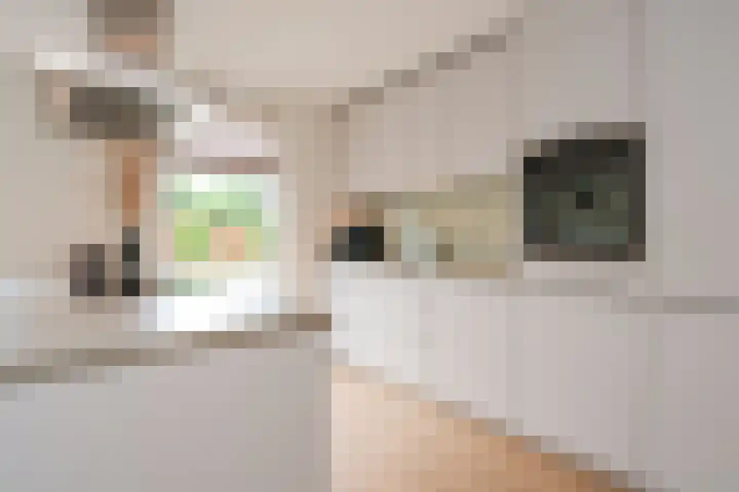 De Jachtvalk 122 Almelo thumbnail 7