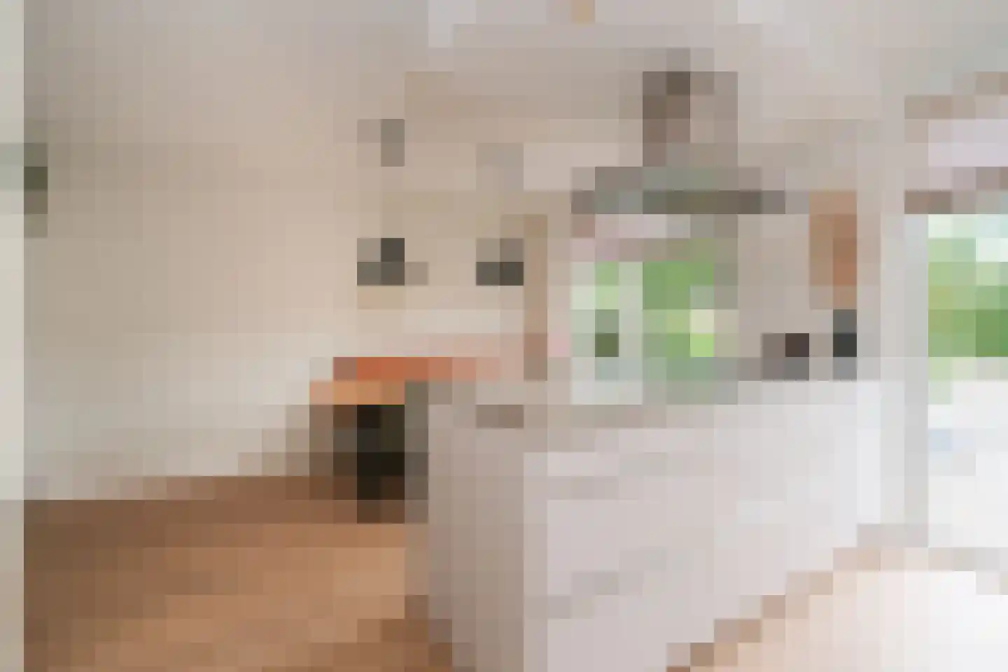 De Jachtvalk 122 Almelo thumbnail 9