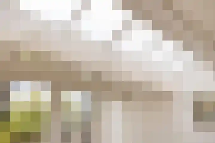 De Jachtvalk 124 Almelo thumbnail 10