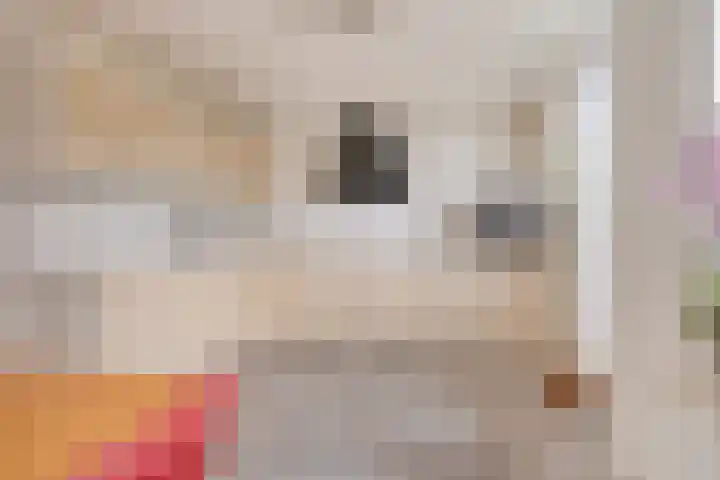 De Jachtvalk 124 Almelo thumbnail 13