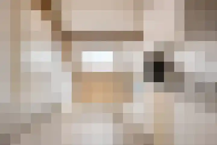 De Jachtvalk 124 Almelo thumbnail 22