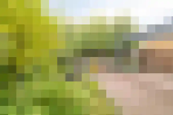 De Jachtvalk 124 Almelo thumbnail 26