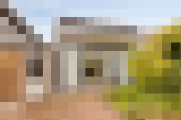 De Jachtvalk 124 Almelo thumbnail 28