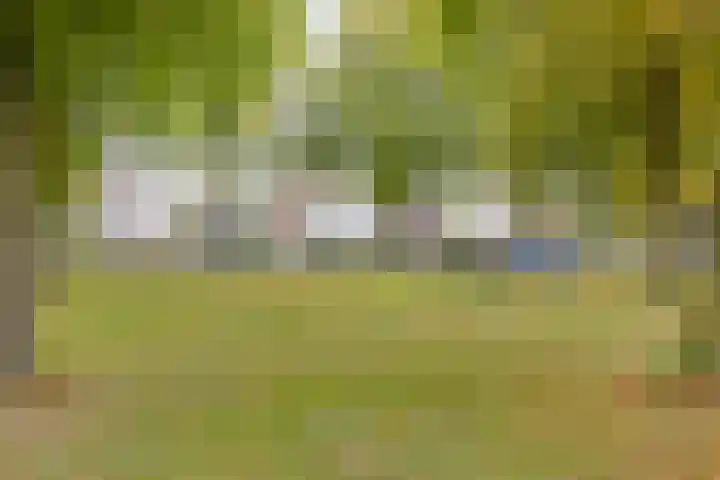 De Jachtvalk 124 Almelo thumbnail 30