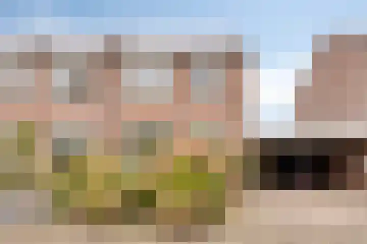 De Jachtvalk 124 Almelo thumbnail 4