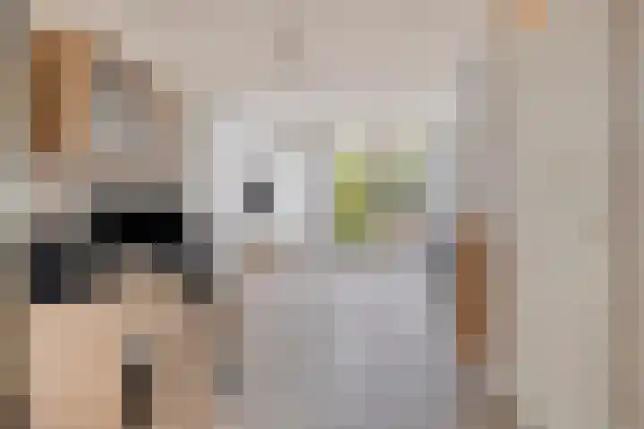 De Jachtvalk 124 Almelo thumbnail 7
