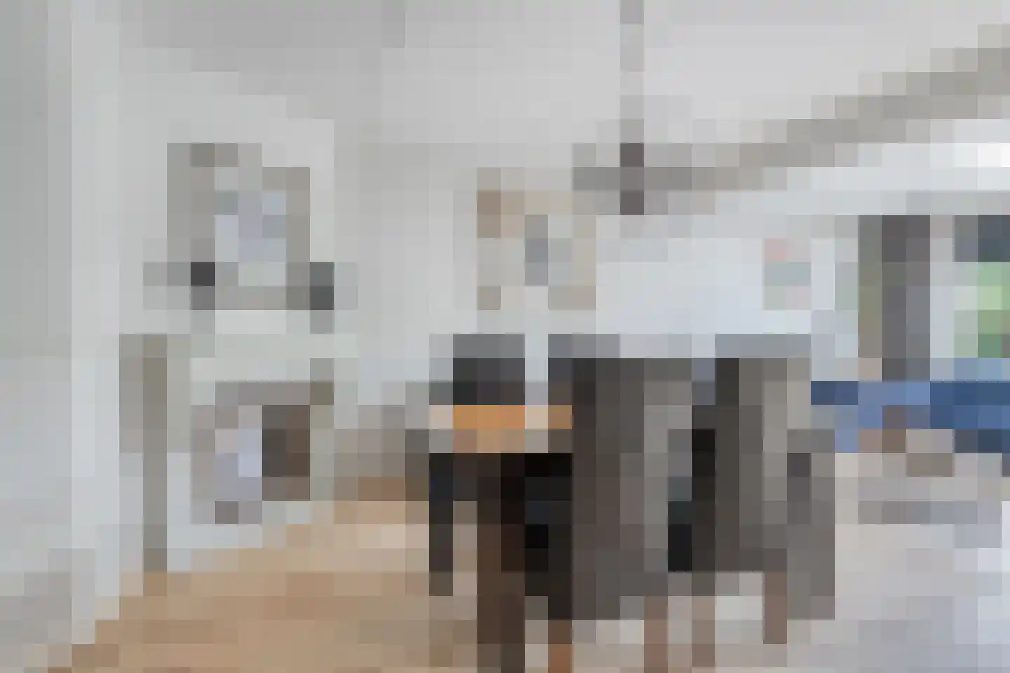 De Jachtvalk 17 Almelo thumbnail 12