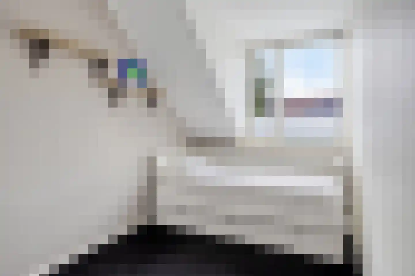 De Jachtvalk 17 Almelo thumbnail 22