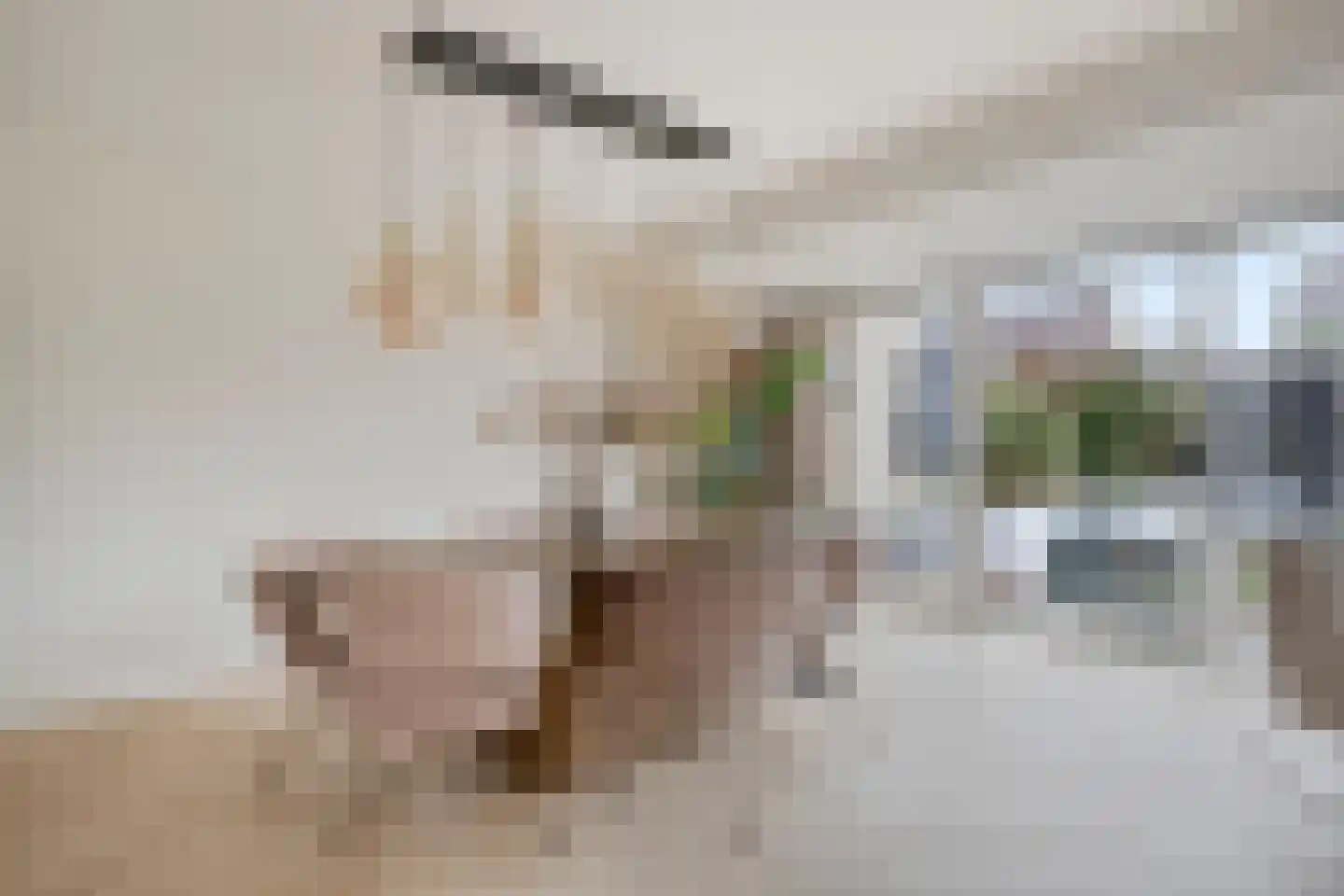 De Jachtvalk 31 Almelo thumbnail 15