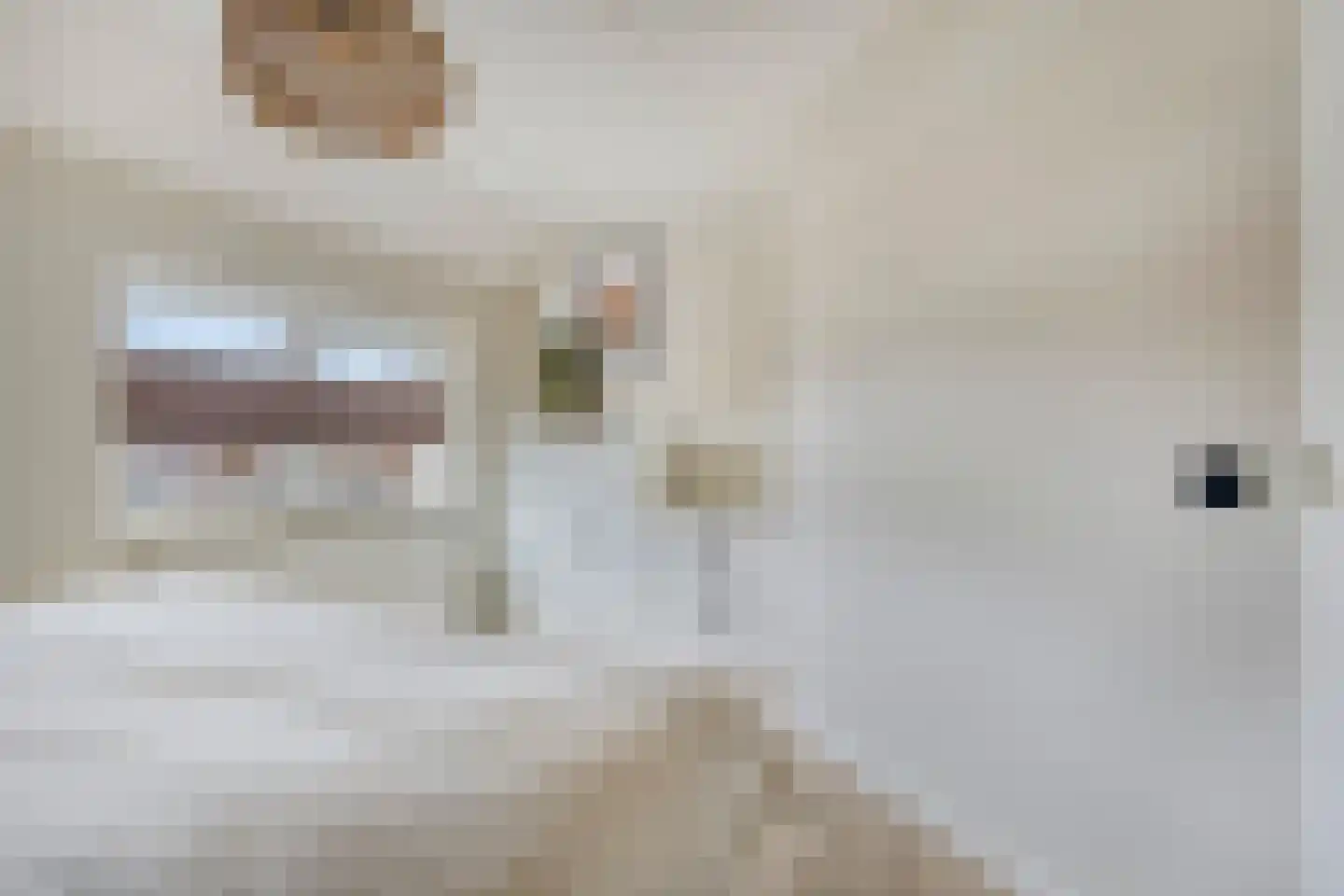 De Jachtvalk 31 Almelo thumbnail 24
