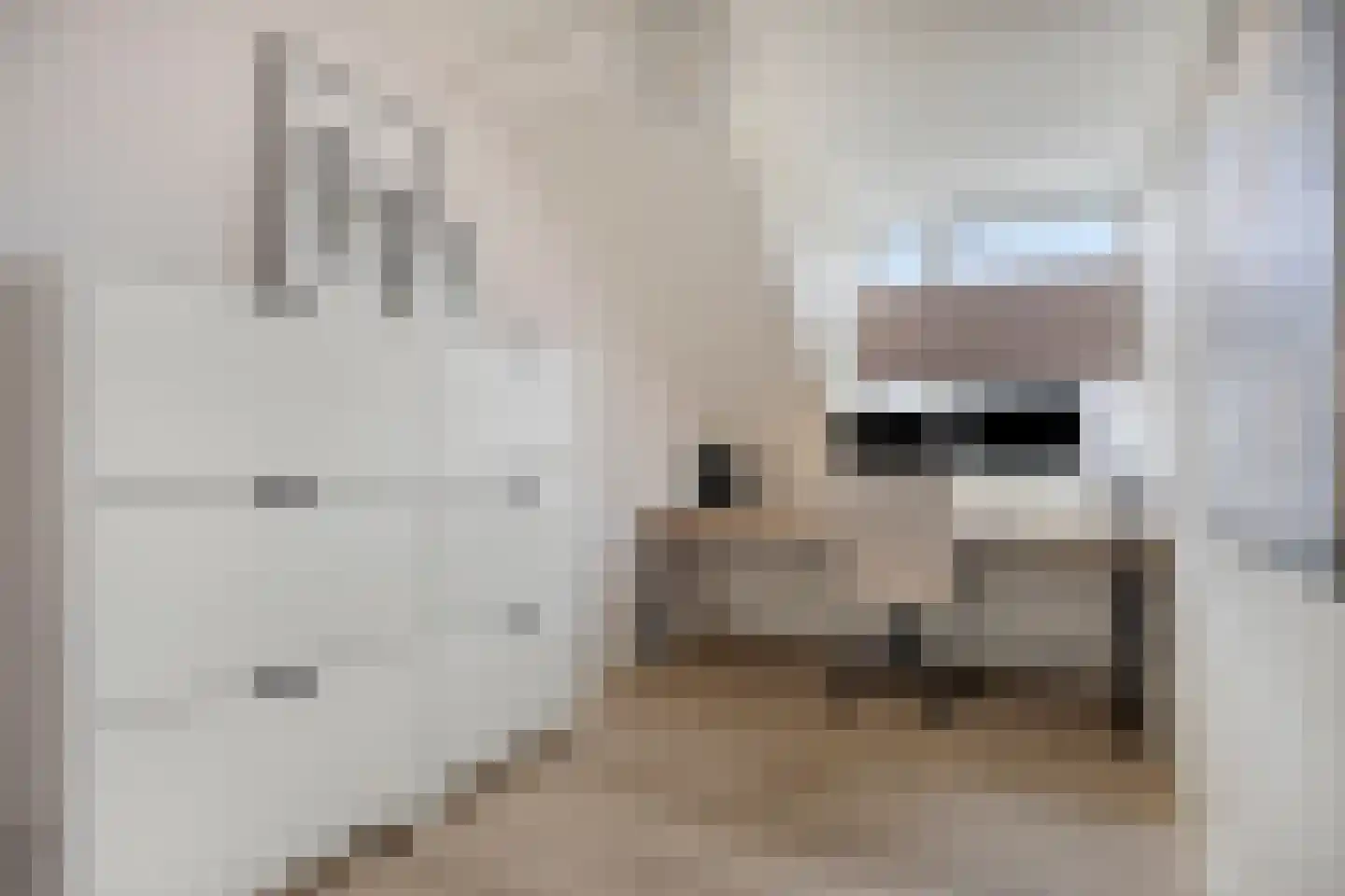 De Jachtvalk 31 Almelo thumbnail 30