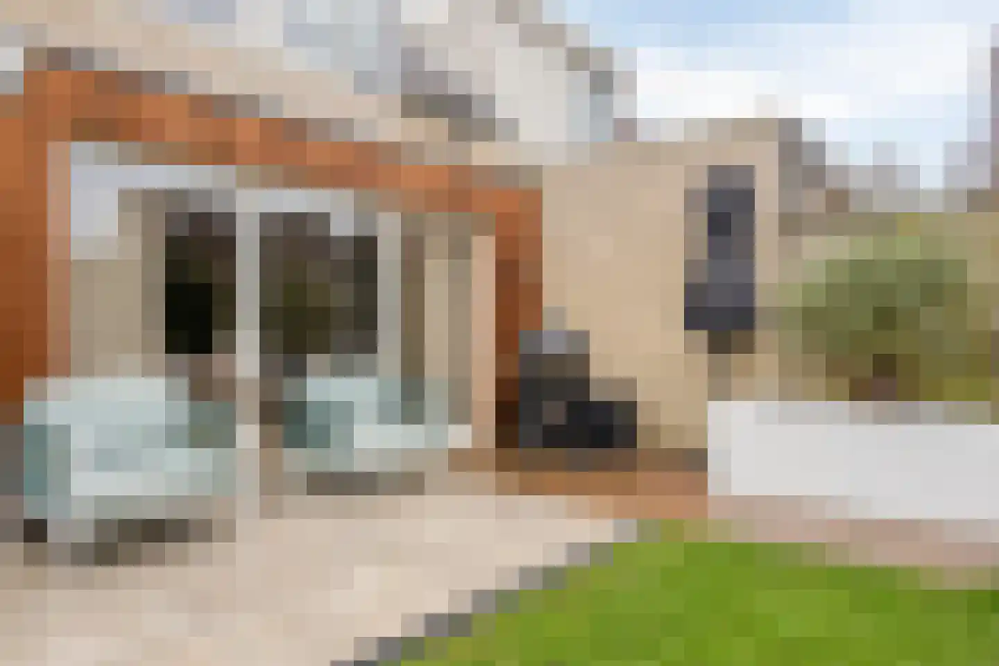 De Jachtvalk 31 Almelo thumbnail 36