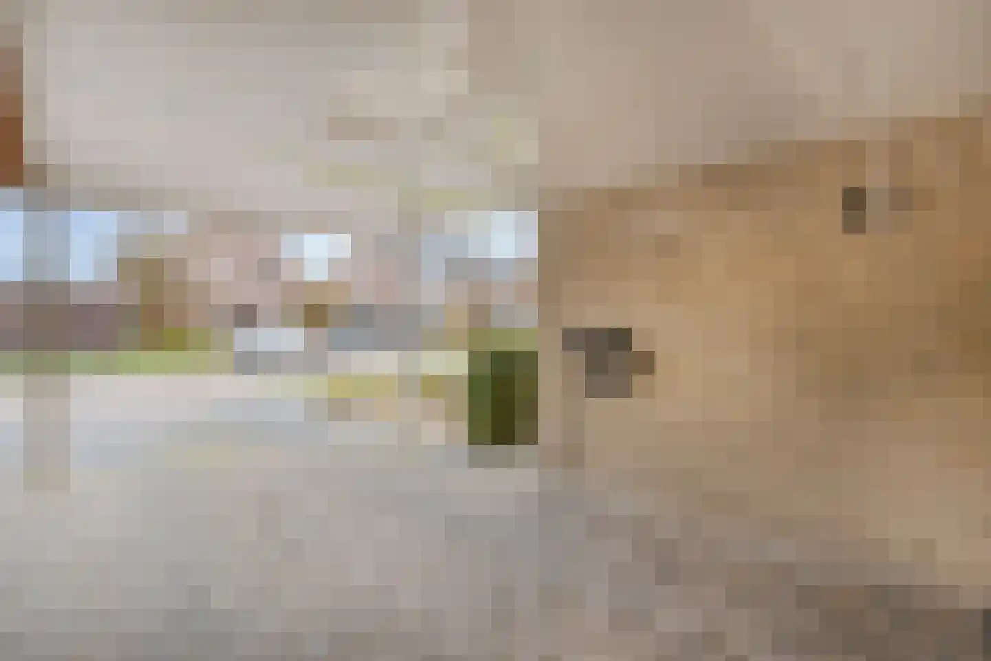 De Jachtvalk 31 Almelo thumbnail 8