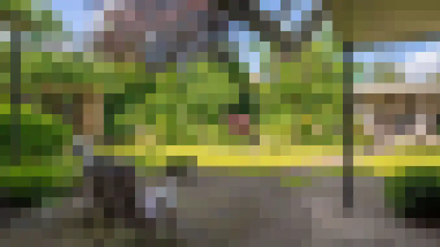 De Jager 19 Almelo thumbnail 39