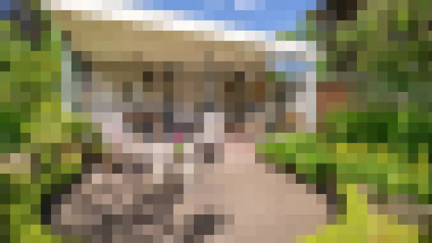 De Jager 19 Almelo thumbnail 41