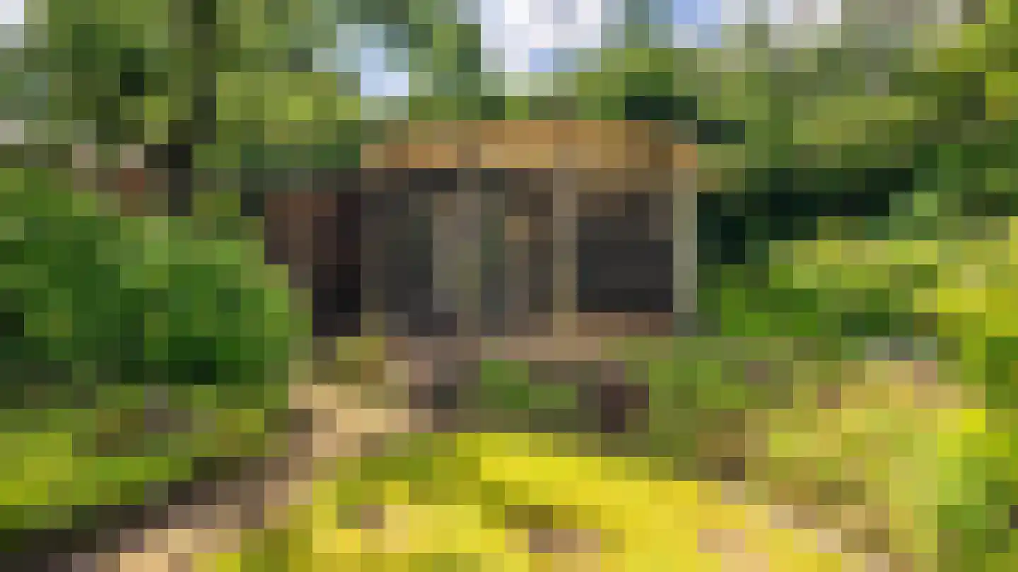 De Jager 19 Almelo thumbnail 42