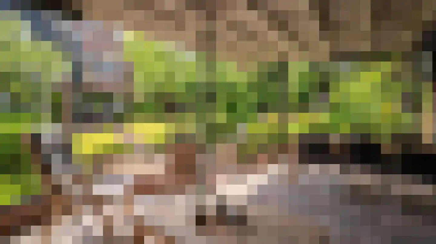 De Jager 19 Almelo thumbnail 43
